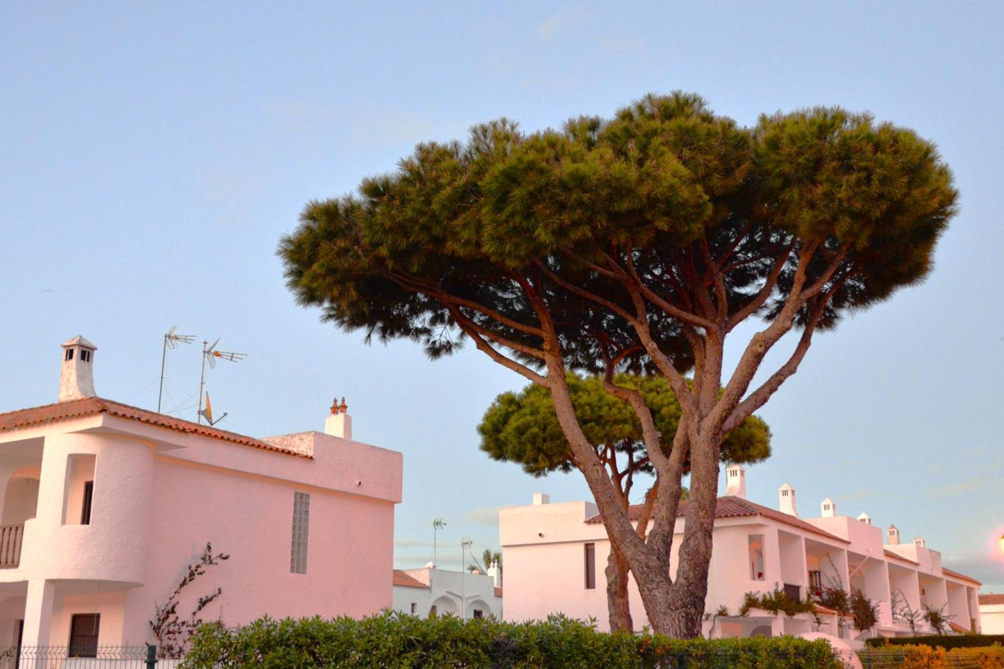 Villa Casa Lea à Islantilla Extérieur photo